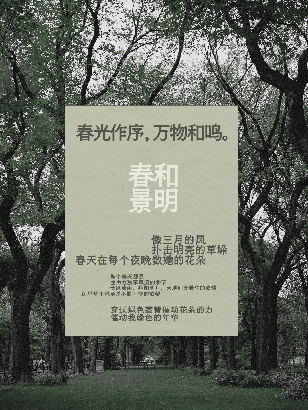 也字工厂新雨明朝体-海报
