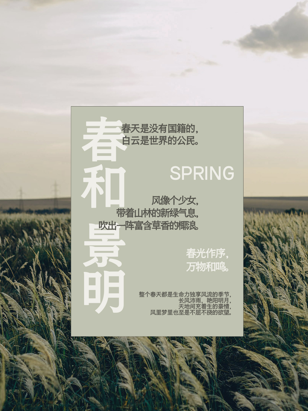 也字工厂新雨明朝体-海报