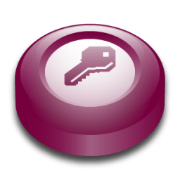 Microsoft Office Access图标