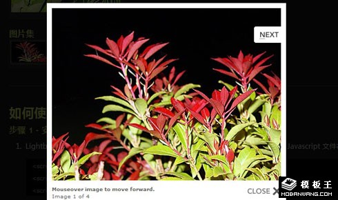 Lightbox JS v2.0图片查看代码