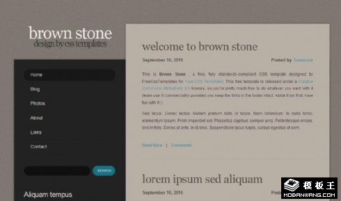 褐石質(zhì)感二列BLOG網(wǎng)頁(yè)模板