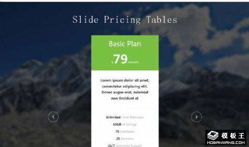 滑动切换价格表响应式网页模板