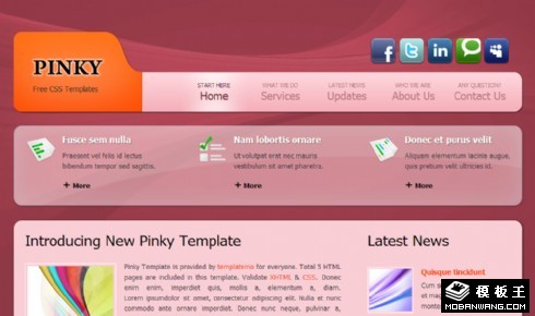 淡红色服务动态网页模板