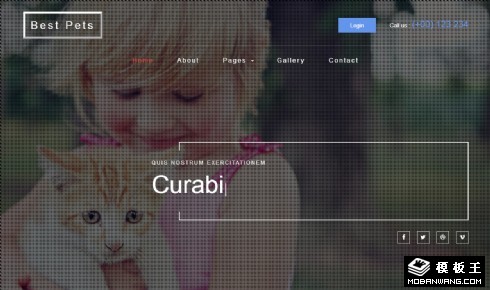 最爱宠物展示响应式网站模板