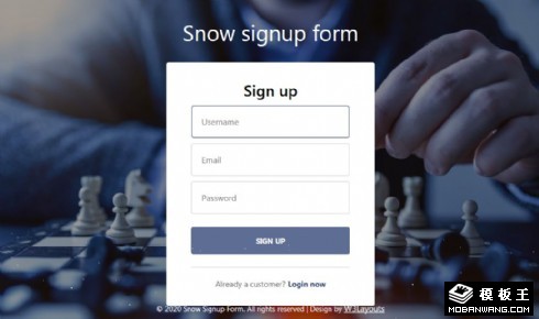 国际象棋注册表单响应式网页模板